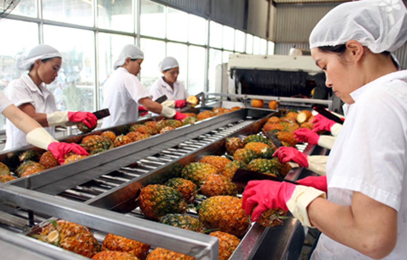 Thành lập doanh nghiệp thực phẩm nhỏ ở Việt Nam