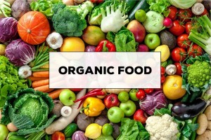 Hướng dẫn thành lập công ty sản xuất thực phẩm organic